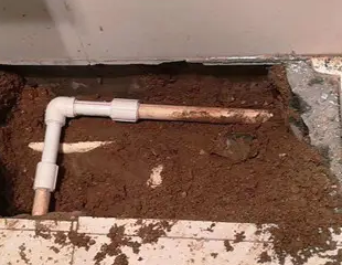 呼兰测漏水哪家好