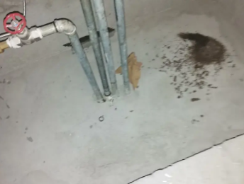 呼兰卫生间测漏水价格明细