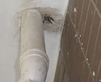 呼兰漏水检测哪家好